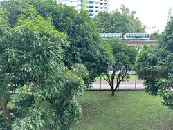 Blk 166 Gangsa Road (Bukit Panjang), HDB 5 Rooms #457925011